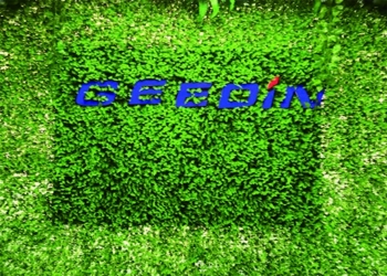 Shenzhen Geedin Technology Co., Limited Company Profile